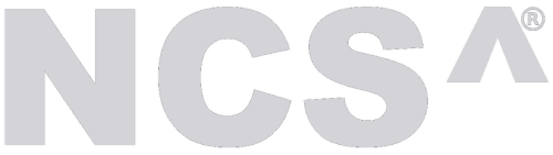 NCS Nenosystems Consulting Services